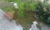 Vila Kristina Furka Galileo tours