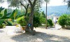 Vila Garden House Parga Galileo tours