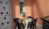 Vila Meri Sarti Galileo tours