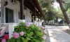 Vila Olga Toroni Galileo tours Leto Grčka Sitonija