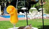 App Hotel Petridis Pefkohori - Galileo Tours