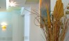 Vila Rodon Paralija Galileo tours
