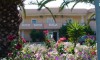 Hotel Stefani - Sarti, Sitonija, Halkidiki, Grcka