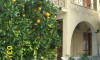 Vila Agrialia Moraitika Krf Galileo Tours