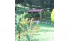 Vila Dandalos Parga Galileo tours