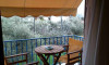 Galileo Tours Vila Ftelia Skiatos
