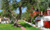 Galileo Tours Vila Makis Skiatos