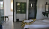 Galileo Tours Vila Pavlos Maria Skiatos