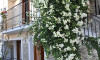 Galileo Tours Vila Spiridula Skiatos