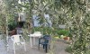 Vila Liana Limenaria Tasos Galileo Tours