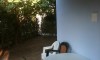 Blue & orange apartments – Nikiti Leto Galileo tours