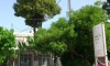 Galileo Tours Vila Amarillis Pefki