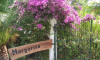 Galileo Tours - Vila Margarita - Barbati