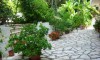Galileo Tours - Vila Margarita - Barbati