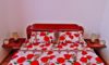 Apartmani Lipa Lux Rafailovici Galileo tours