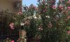 Vila La Luna Limenas Krf Galileo Tours