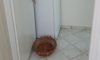 Ikies Village Nikiti Galileo Tours