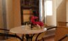 Hotel Dana Canj Galileo tours