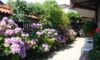 Hotel Grami Bansko Galileo tours