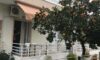 Vila Seaview Neos Pirgos Evia Galileo Tours Letovanje Grčka Ostrva Odmor