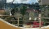 Vila Dragan Rafailovici Galileo tours