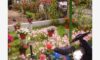 Vila Kristina Stavros Galileo tours
