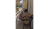 Vila Greco Furs Hanioti Galileo tours